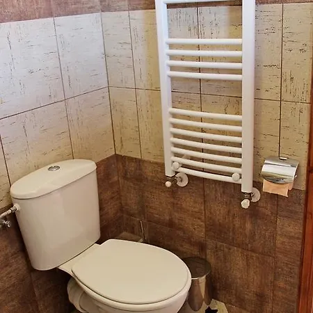 Videnitsa