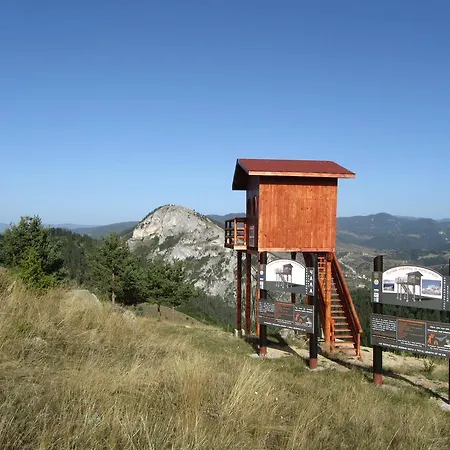 Videnitsa Gasthuis