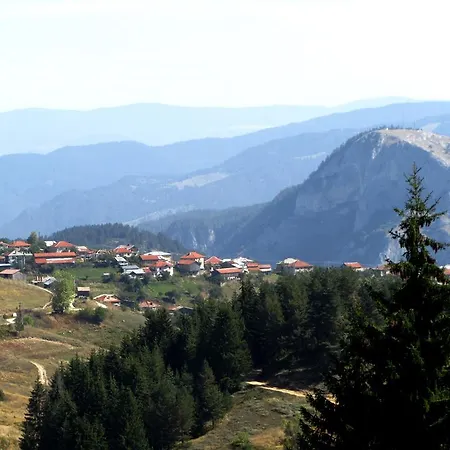 Videnitsa *